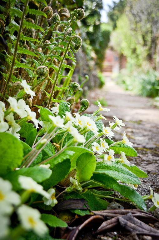 The Longcross Hotel And Gardens Bodmin Dış mekan fotoğraf